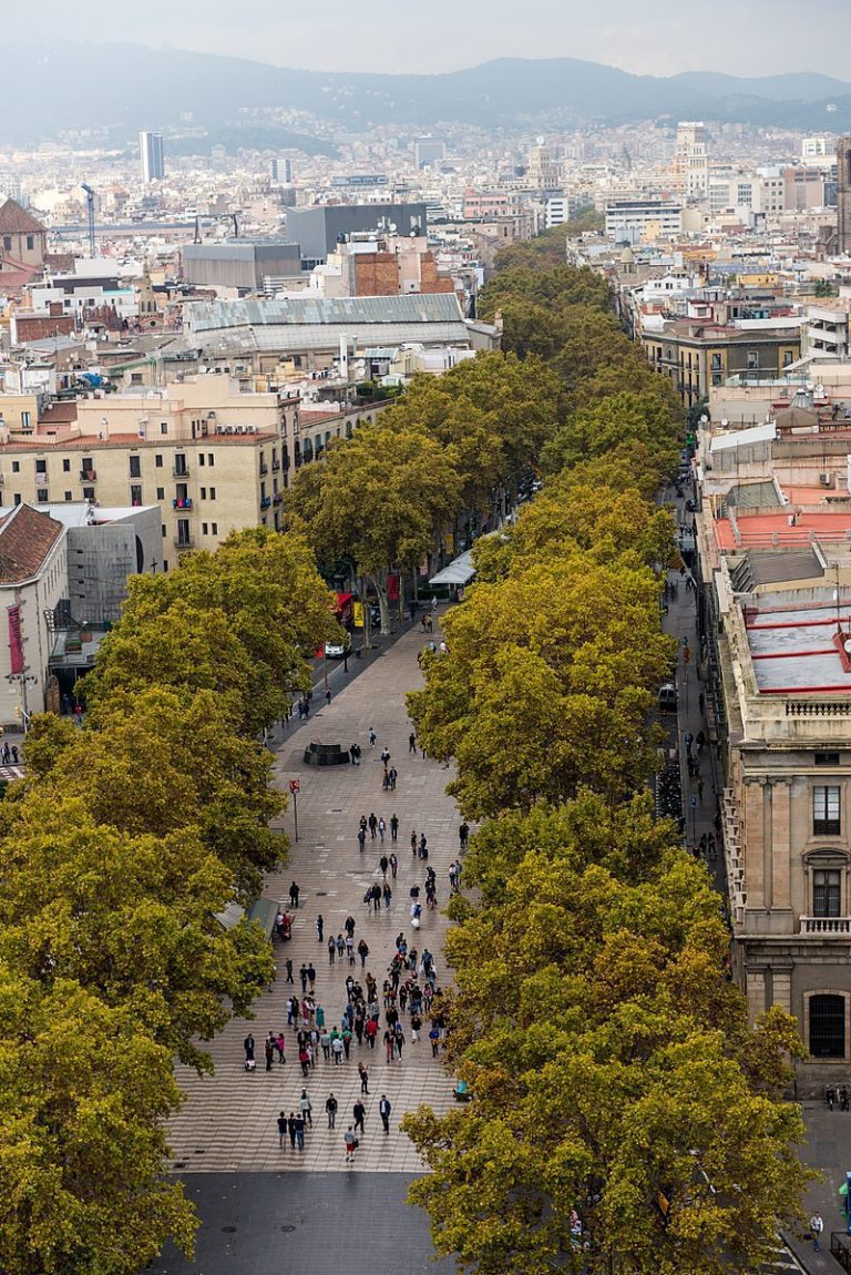 RAMBLA Ralf Roletschek WIKIPEDIA La Rambla 1 RAMBLA Ralf Roletschek WIKIPEDIA 768x1150