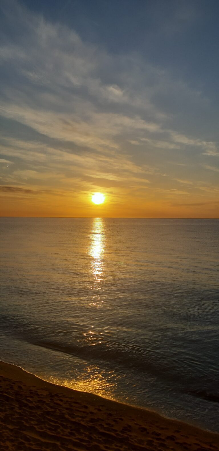 16809324553098814810125116184241 768x1581