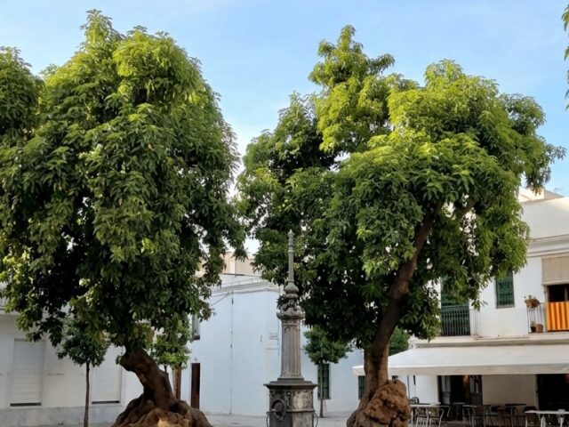 Plaça Prim de Poblenou: historia, encanto y gastronomía