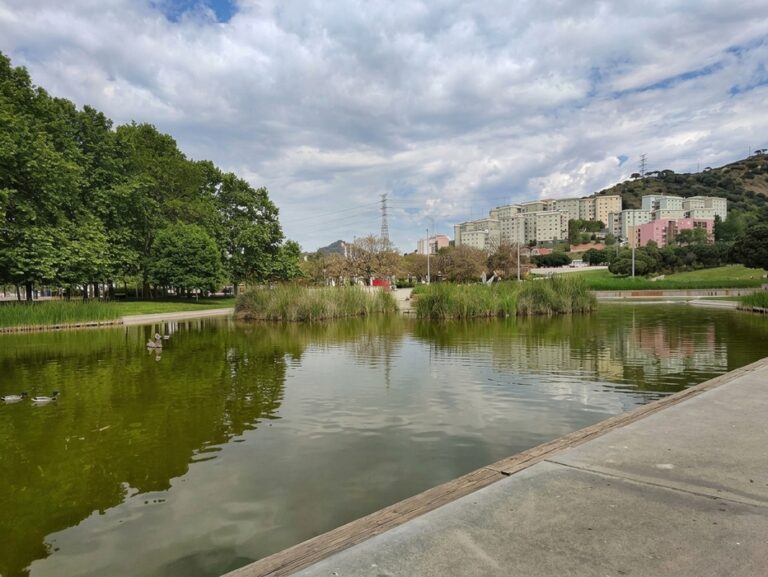 Parc de Can Zam Llac 768x577