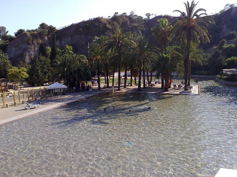 Parc de la Creueta del Coll 002 Sergi Serra i Jordi WIKIPEDIA Parque de la Creueta del Coll 3 Parc de la Creueta del Coll 002 Sergi Serra i Jordi WIKIPEDIA 768x576