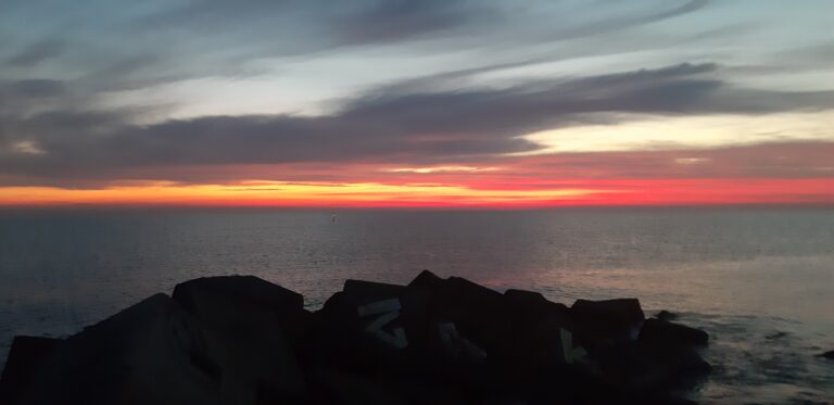 20230114 075413 768x373