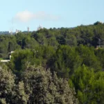 Serra de Collserola: El Pulmón Verde de Barcelona 🌿