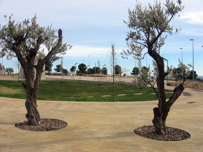 Parc Montsalvatge foto por Canaan WIKIPEDIA